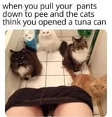 1751734336741904