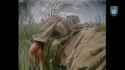 2025-07-05__madyar_edit_thumb.jpg
