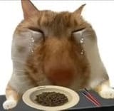 GuIFH1sW0AArqkM