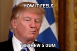 DonaldChump
