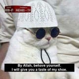 1562056772168