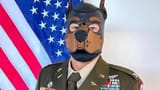 bark