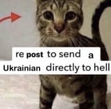 1751739258026056