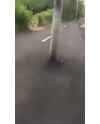 129673546359_thumb.jpg