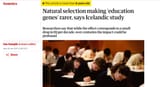 iceland_iq