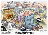 ben-garrison-citizen-cattle