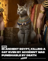 Death penalty for cat abuse