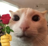 4u