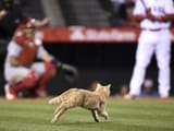 KOTCOMINGOUTOFTHEBULLPEN