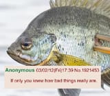 1724778129179721
