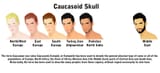 caucasoid_skull_by_arsalankhanartist_d57ccow-fullview