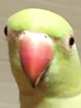 1662560970712442
