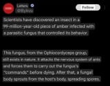 Screenshot_20250705_232536_Google
