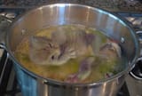 cat_soup_by_shoobyd_d21t19o-fullview