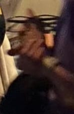 DISTRACTION NIGGERS