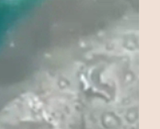 Screenshot 2025-07-05 at 14-15-53 _pol_ - WEATHER CONTROL TECH INDUCED FLOODS IN TEXAS - Politically Incorrect - 4chan