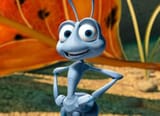 a-bugs-life