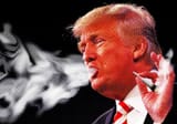 trumpweed-900x633