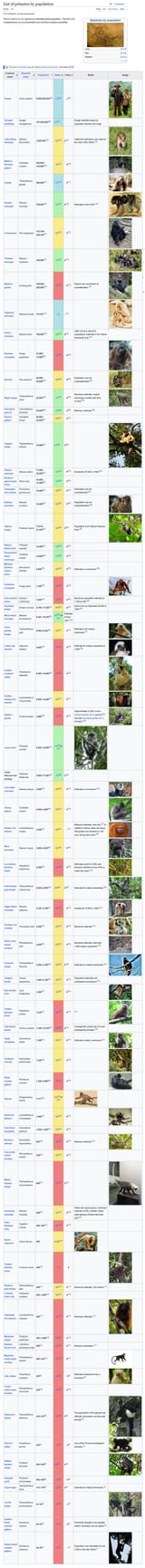 monkeys