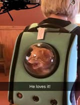 he loves it
