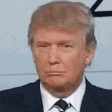 trump-really