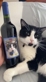 PROUDWINEKOT