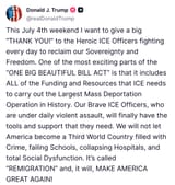remigration