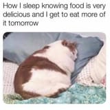 kot sleep food