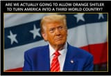 moron