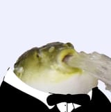 Blub