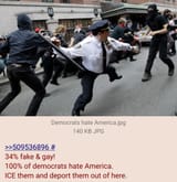Deport all Democrats