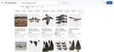 Screenshot 2025-07-05 at 16-13-05 fucking canada goose decoy - Google Shopping