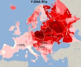 Haplogroup_R1a_Y-DNA_svg_