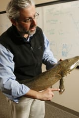 tiktaalik