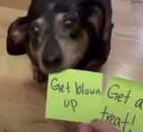 GsdjialWcAAm4UR