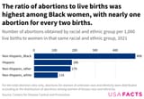Abortion Niggers