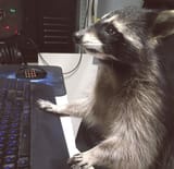 Coonputing