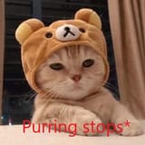 catsad