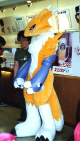 renamon21