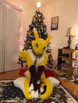 renamon17