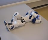 nao_robot