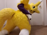 renamon32