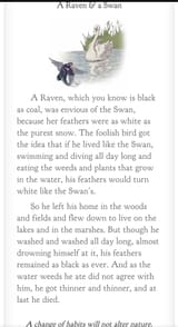 Raven and Swan