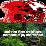 terror_and_beauty