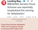 Crying Chuck Schumer