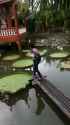 b4c9cd31dd211069_thumb.jpg