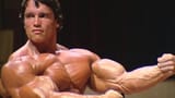Arnold (1)