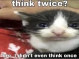 FgMs7eJVQAMHRdQ