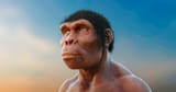 Human-Evolution_0