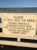 please do not feed the birds sign